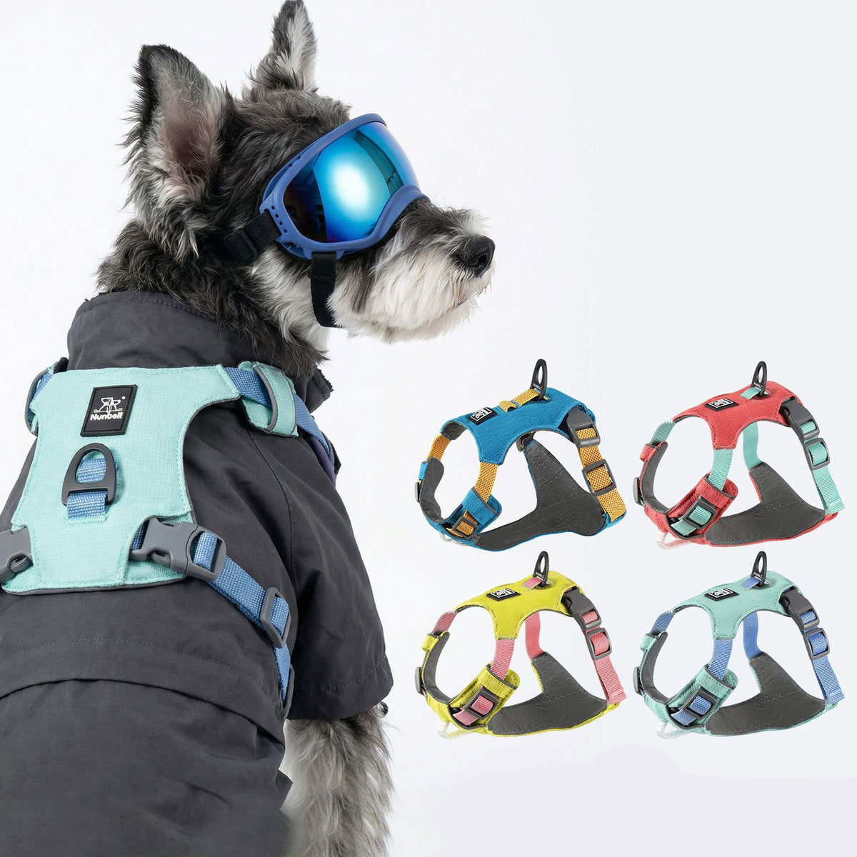 Pet double-layer breathable and waterproof chest and back strap