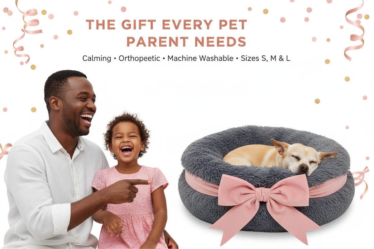Dog Bed Gift