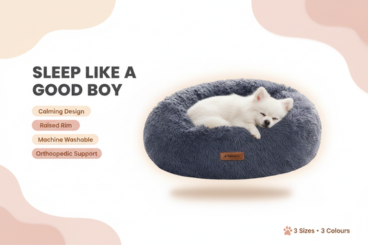 Dog Bed Hero